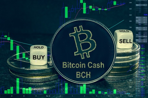Bitcoin Cash holds near $500 despite broader crypto market slump: check 2026 outlook